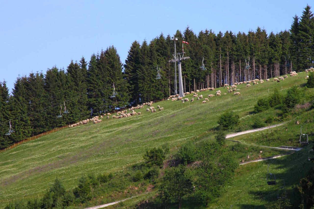 Harzhuisje - Sankt Andreasberg Exterior foto